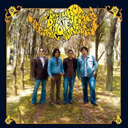 The Dolly Rocker Movement : Electric Sunshine